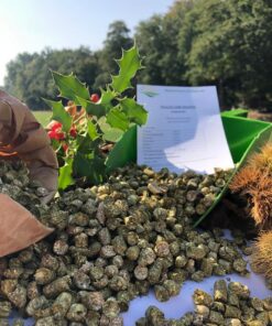 Wiesengrascobs SoftSolution